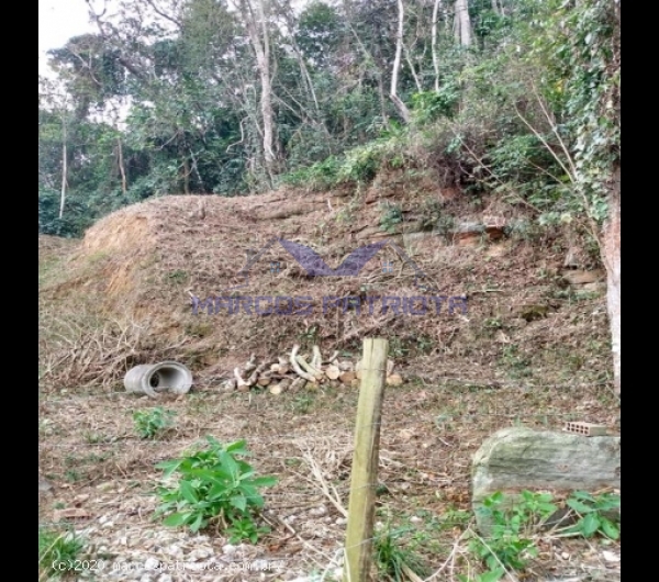 ea1599830201