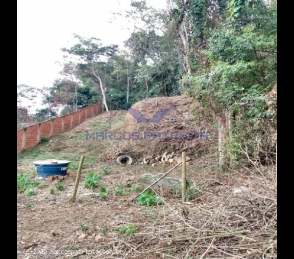 ea1599830275