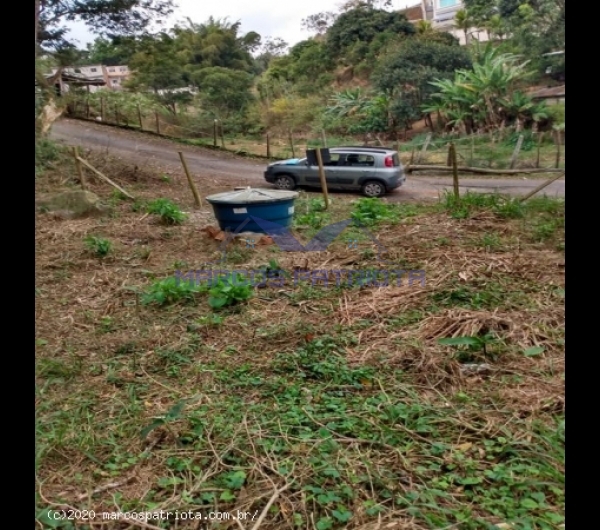 ea1599830323